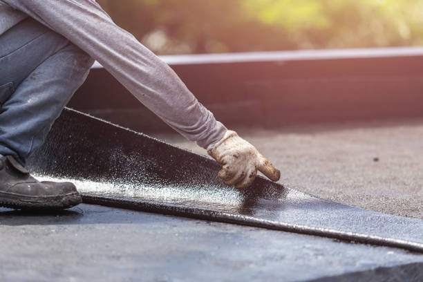 Professional Wet Basement Repair technician working in Riga, MI